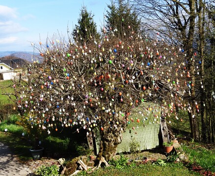 Lojzka Mrgole pred več kot 300-letnim očakom_1